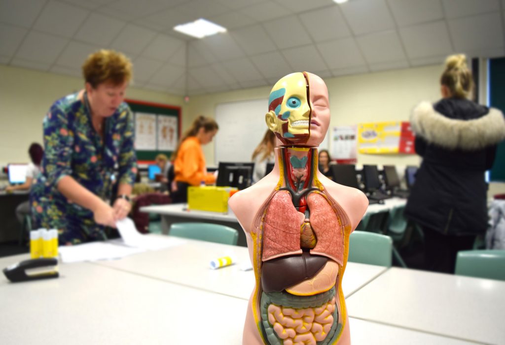 Health & Social Care