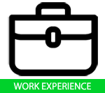 WORK EXPERIENCE TAB