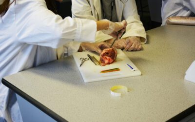 A-level Biology